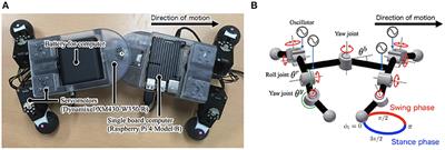 Sprawling Quadruped Robot Driven by Decentralized Control With Cross-Coupled Sensory Feedback Between Legs and Trunk
